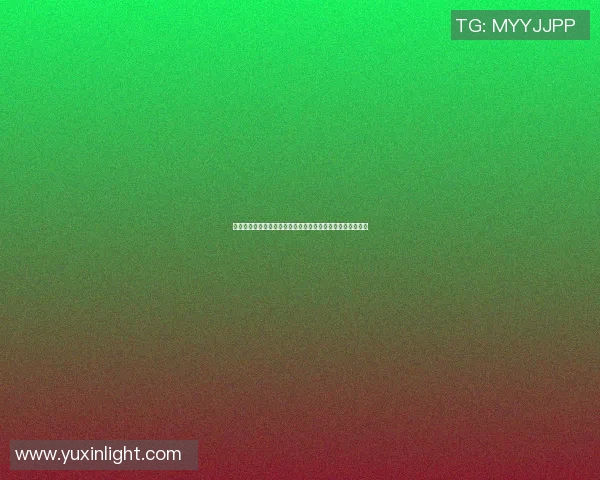 深入探讨上海羽毛球队近期表现及其对手状态的全面对比分析