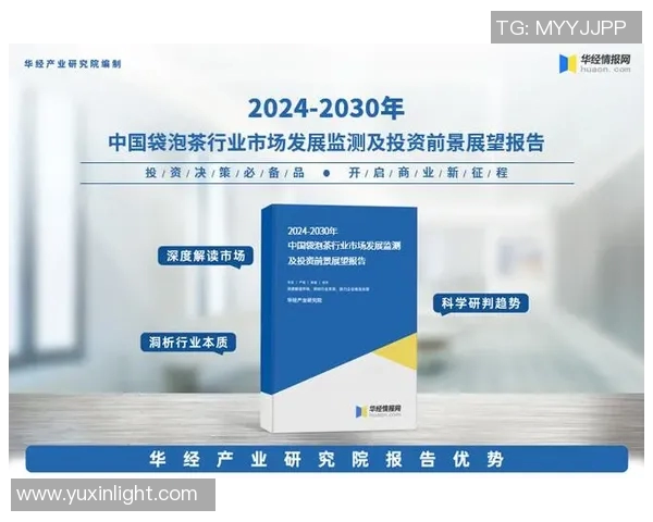 杭州排球队个人能力分析与表现评估研究报告